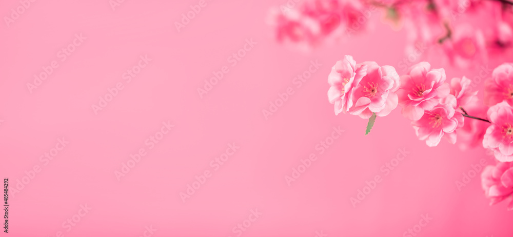 rose red peach blossom fashion promotion poster