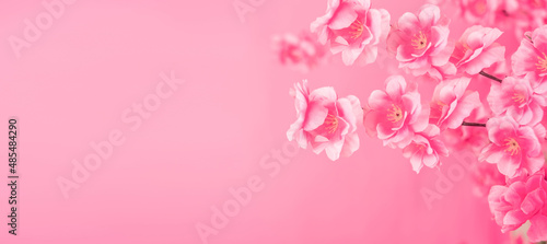 rose red peach blossom fashion promotion poster © Lili.Q