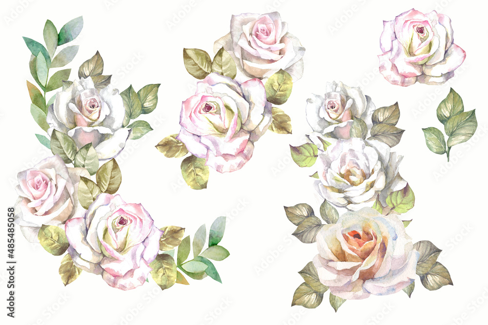 set of roses.watercolor flowers set of roses.watercolor flowers