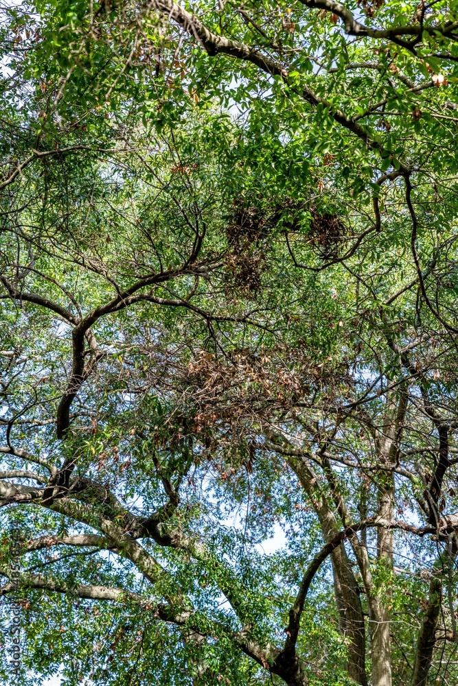 Fototapeta premium CREATIVE