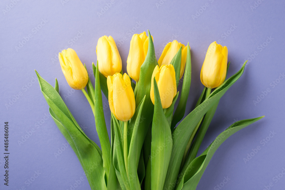 Top view photo of woman's day composition bunch of yellow tulips on isolated pastel purple background Top view photo of woman's day composition bunch of yellow tulips on isolated pastel purple background