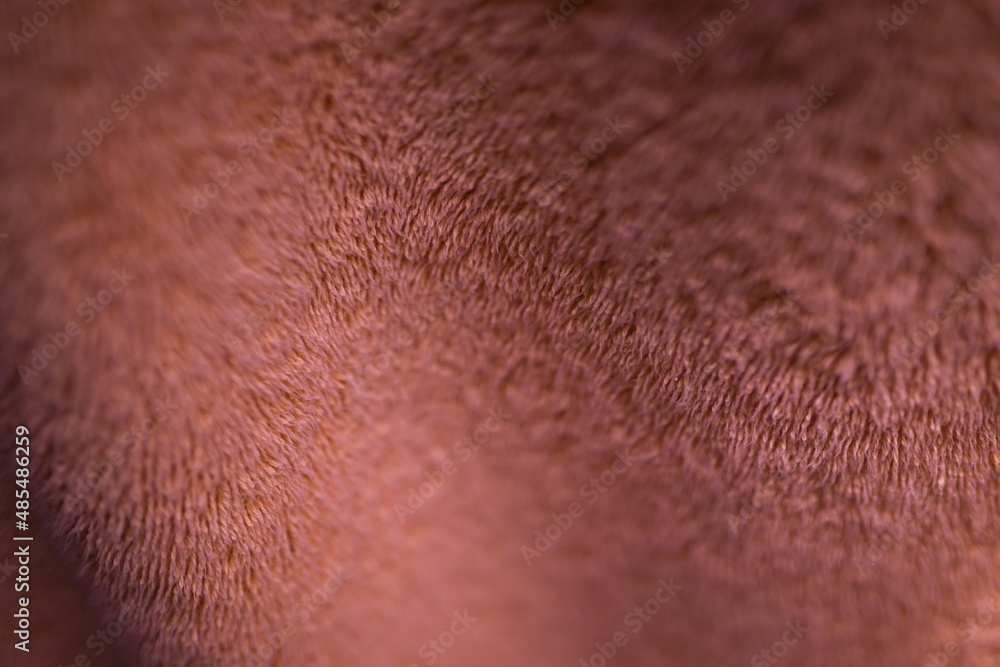 Fototapeta premium close up of a skin