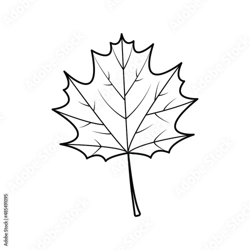 Maple Leaf outline.For icon; logo on white background.