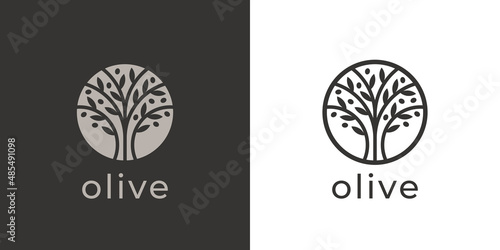 Olive tree logo. Extra virgin olive oil label icon. Tree of life symbol. Organic branch brand identity. Plant leaf sign. Vector illustration.