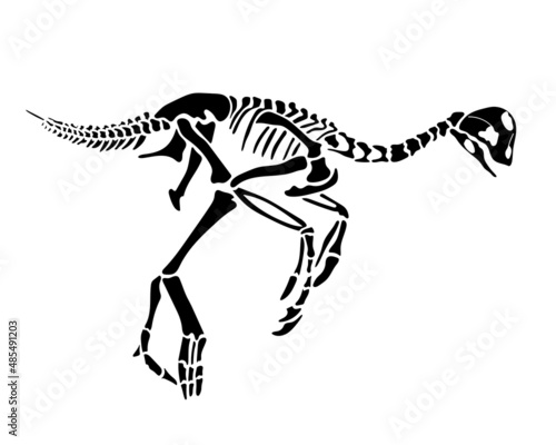 Oviraptor dinosaur skeleton silhouette isolated on white background. Vector illustration.