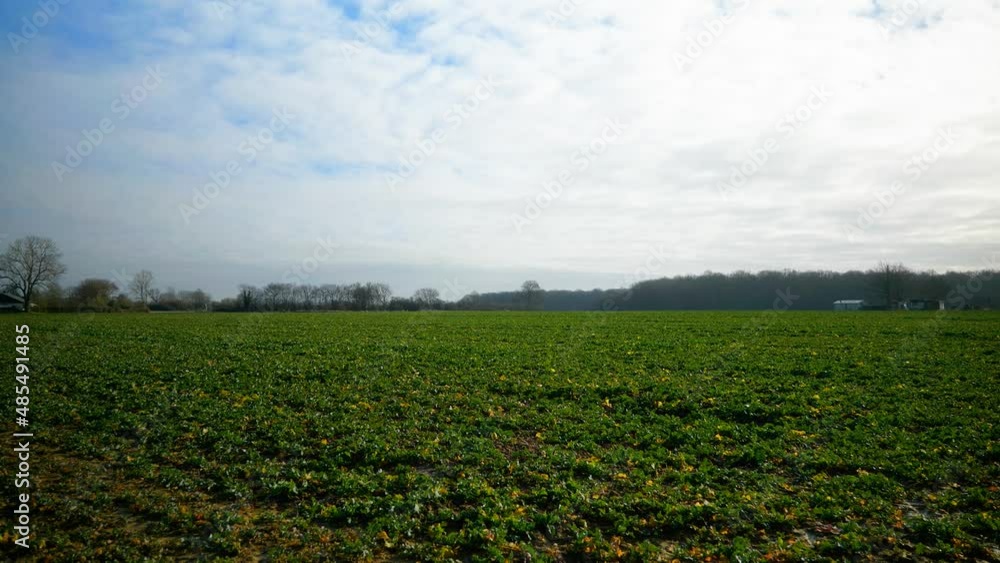 4K Cinematic landscape nature shot of a field on a sunny day in the French countryside of Normandy. 4K Cinematic landscape nature shot of a field on a sunny day in the French countryside of Normandy.