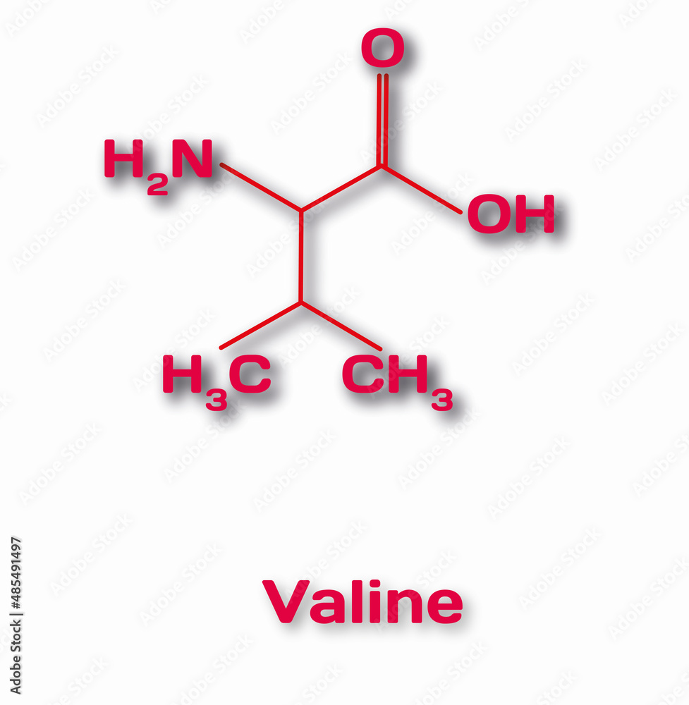 Amino acid formulas Amino acids chemistry Amino acids Amino acidbased