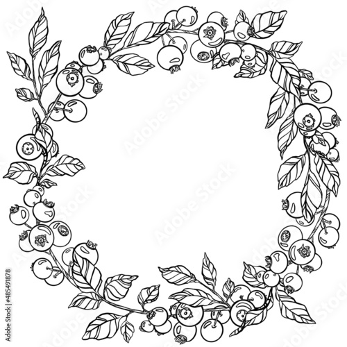 Berries wreath. Outline black and white graphics for card, invitation