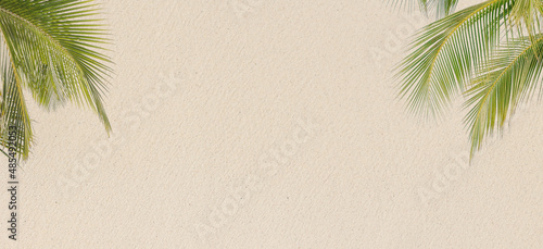 Green palm leaves on tropical sandy beach abstract background