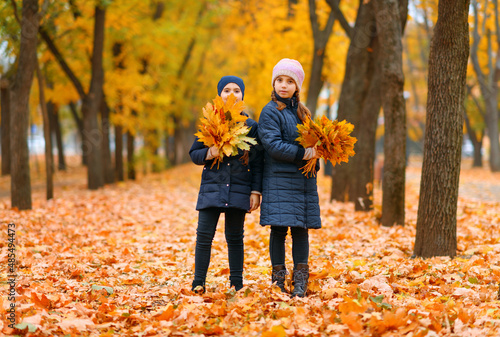 Girls playing and posing in autumn city park. Two children plays with yellow maple leaves. Fall season, beautiful nature with yellow trees.