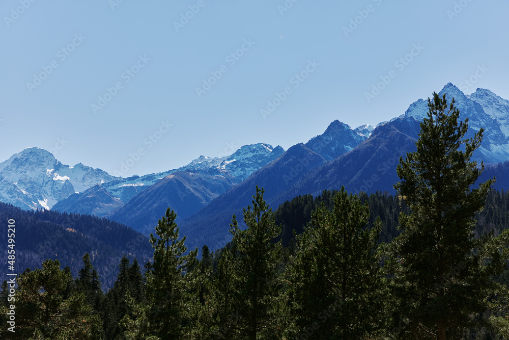 forest panorama open air summer vacation park peak