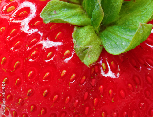Obraz na płótnie Strawberry close-up. Side view w salonie