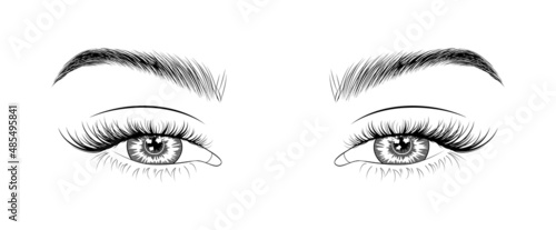 Woman's sexy makeup look with perfectly shaped eyebrows and lashes. Vector illustration for business visit card, typograph, print. Perfect salon look. Brows and lashes lamination