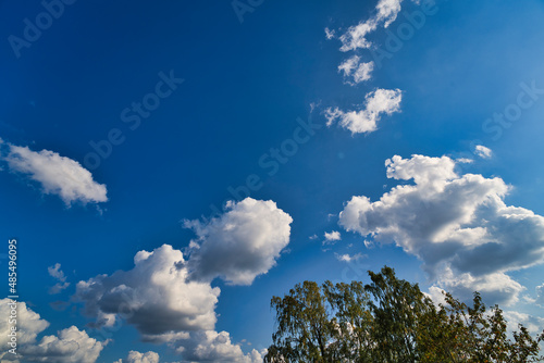blue sky background with tiny clouds and a tree © AdobeTim82