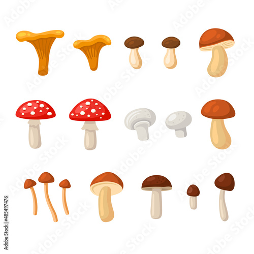 Mushrooms Set. Cartoon Style on White Background. Vector