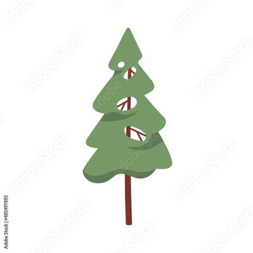 Fir tree, evergreen coniferous woods plant with trunk and crown. Green conife...