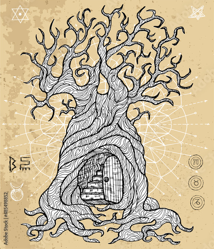 Mystic fantasy tree line art vector illustration with door, occult and esoteric symbols against texture background