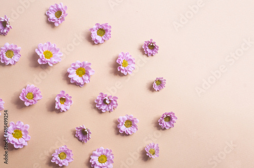 Beautiful light purple flower background copy space flat lay veri peri pink pastel watecolor wedding background