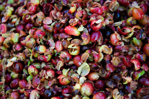 Shell of coffee seeds natural process coffee beans. Coffee bark after peeling. Shell of coffee beans. Fresh coffee shell.