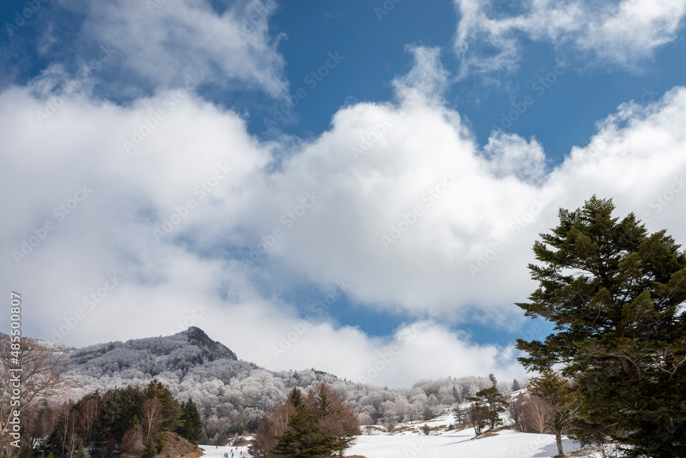 雪が積もったスキー場のゲレンデ