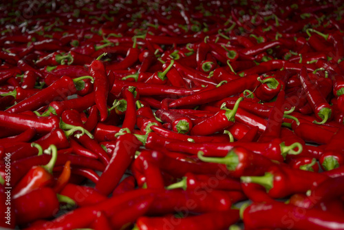 close up Red chili pepper. © binimin