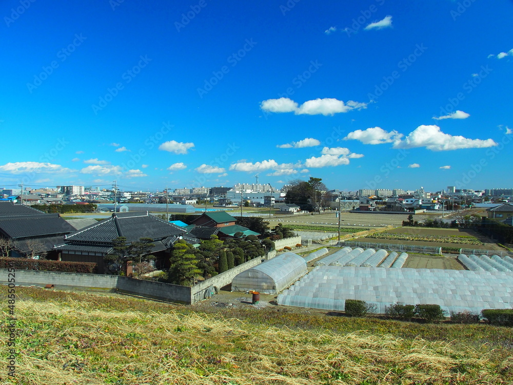 江戸川土手から見る早春の郊外の畑風景