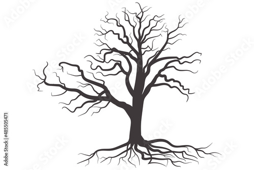 Scary dead tree silhouette image