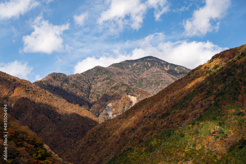 紅葉する美しい山々