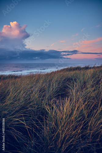 Evening in the Dunes of Vejlby Klit in northern Denmark. High quality photo photo