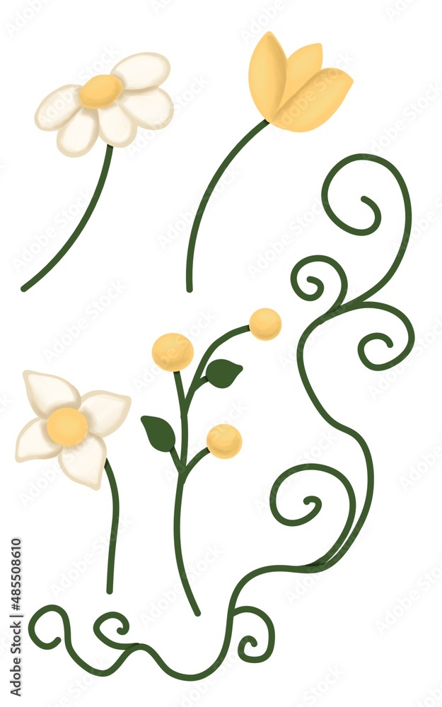 Set with daisies. tulips and other flowers