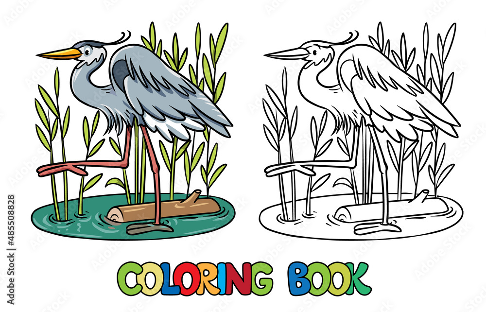 Fototapeta premium Funny heron in the swamp. Coloring book series