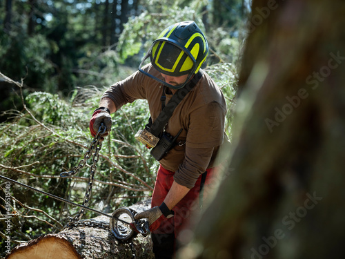 Logger tying chain to tree in forest