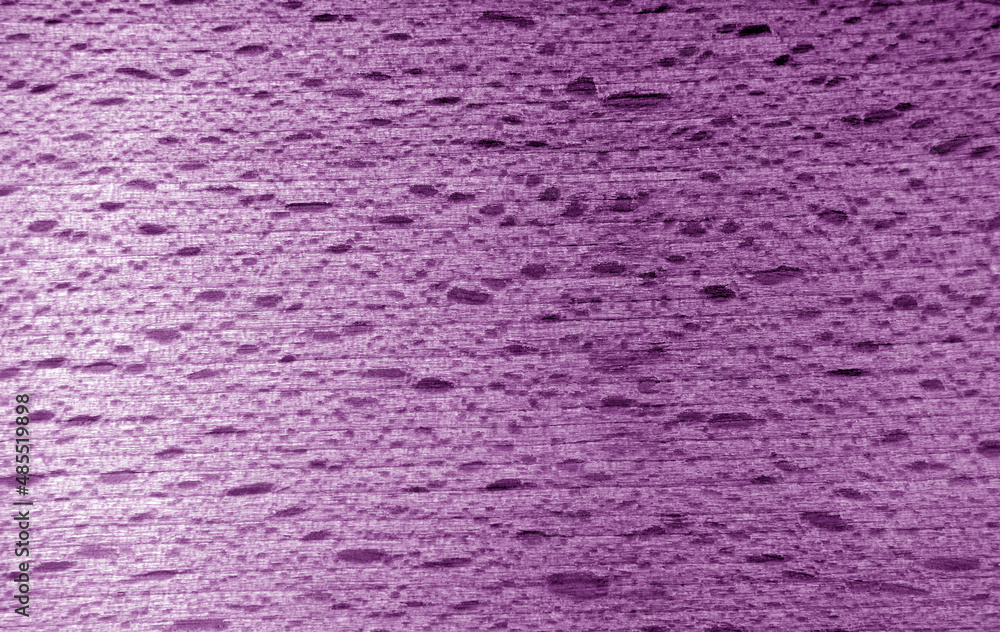Beech wooden board texture in violet stain Beech wooden board texture in violet stain