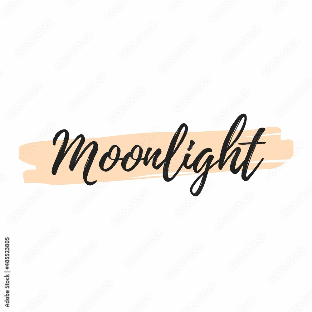 Moonlight sign logo design isolated on white background.