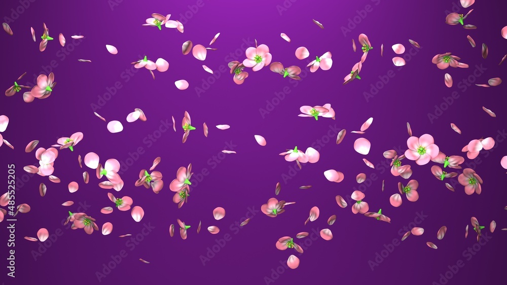 Cherry blossoms on purple background.
3D illustration for background.
