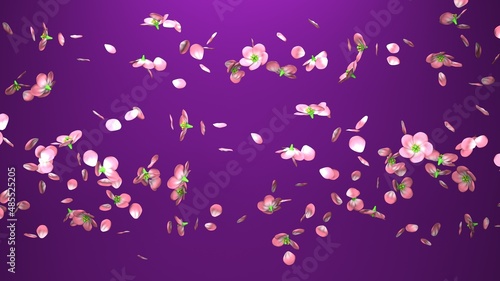 Cherry blossoms on purple background. 3D illustration for background. 