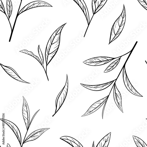 Green tea leaf hand drawn seamless pattern. Sketch tea organic food and drink. Vector illustration, seamless pattern on a white background. Plant leaves for printing and design