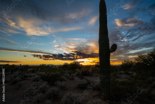 Dramatic vibrant sunset scenery in Tucson, Arizona