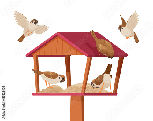 Sparrows in birdhouse. Chirp birds characters flying and eating crumbs in birdhouse exact vector cartoon background