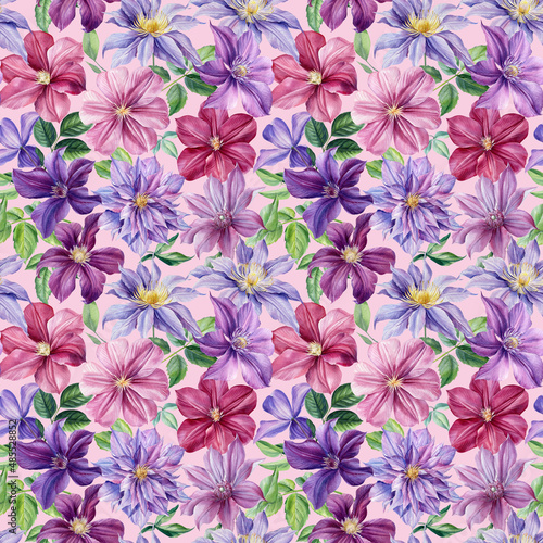 Purple flower. Clematis watercolor, botanical illustration, hand drawing painting, seamless pattern