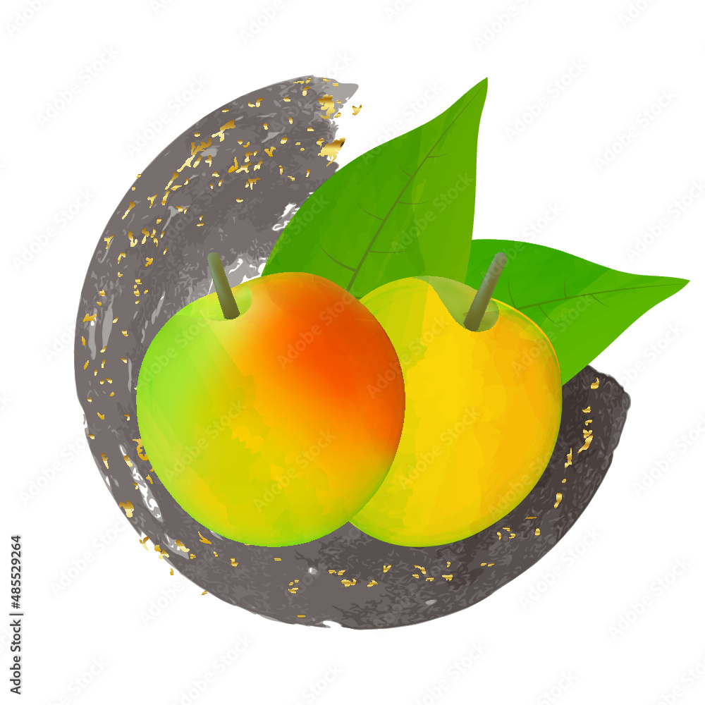 梅の実の水彩イラスト Stock Vector Adobe Stock