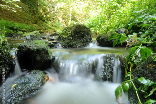 Bach im Nationalpark Hunsrück-Hochwald