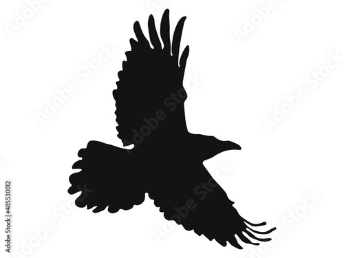 Grafika wektorowa przedstawiająca kruka w locie utworzona poprzez wyizolowanie z fotografii zarysów ptaka i zastosowanie czarnego wypełnienia.