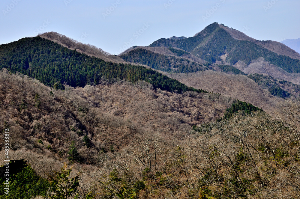 道志山塊の大丸より倉岳山を望む
道志山塊　大丸より左から舟山、鳥屋山、倉岳山
