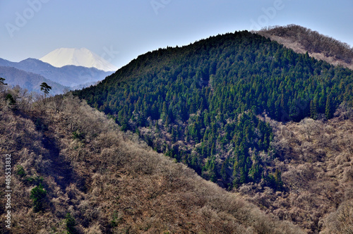 道志山塊の大丸 御座敷の松より富士山と舟山を望む 道志山塊 大丸の御座敷の松より富士山、その左から今倉山、赤岩（松山）、右が舟山 