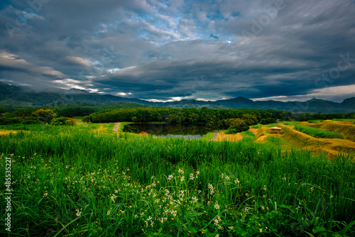 panoramic background of high mountain scenery  overlooking the atmosphere of the sea  trees and wind blowing in a cool blur  spontaneous beauty