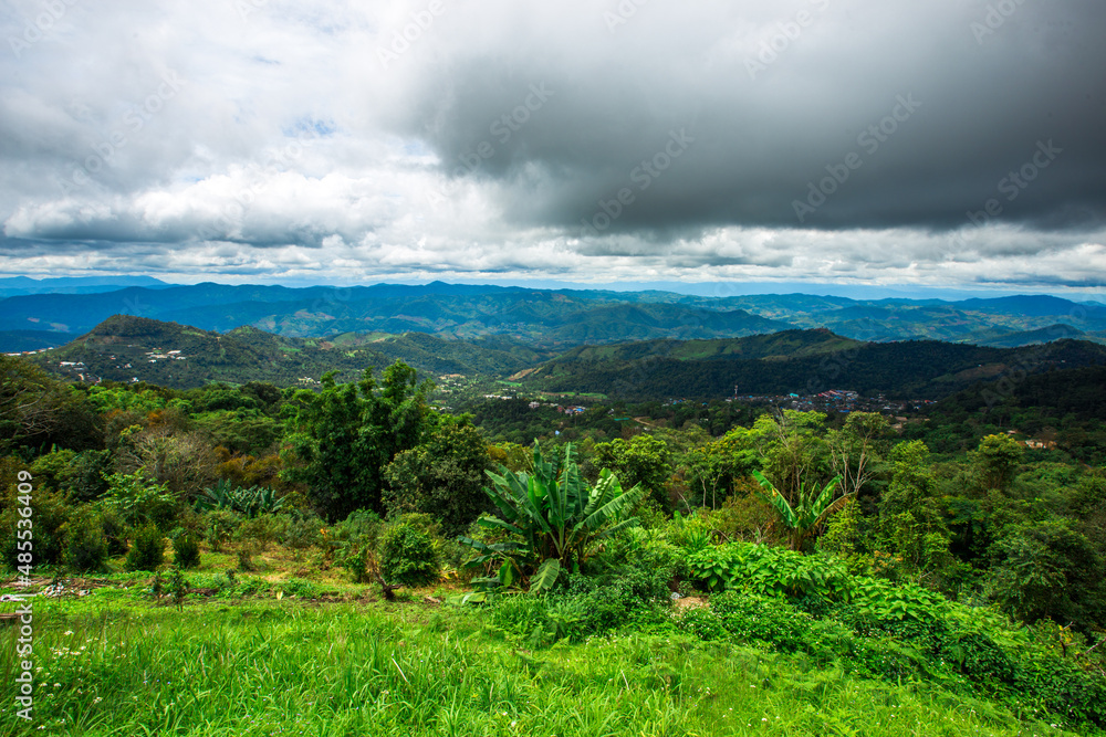 Fototapeta premium panoramic background of high mountain scenery, overlooking the atmosphere of the sea, trees and wind blowing in a cool blur, spontaneous beauty