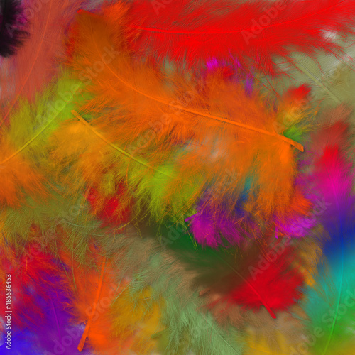 Colorfully feathers background - High resolution