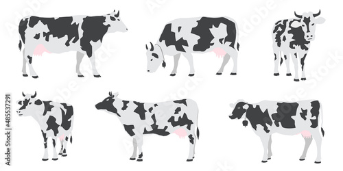 cows vol2