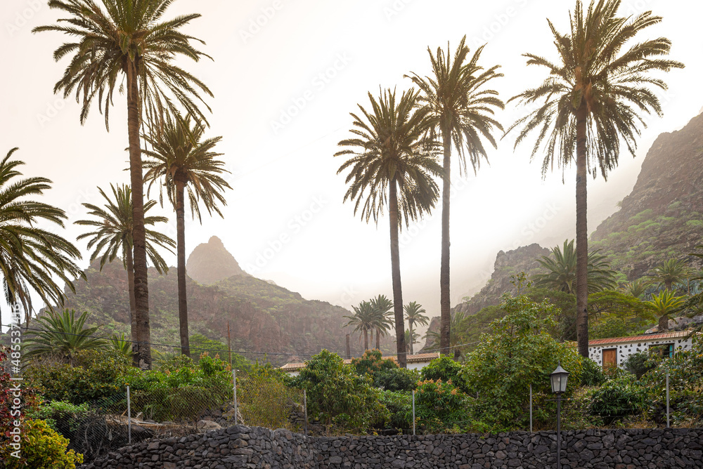 Volcanic rocks, slopy mountains and palm trees are the typical landscape for the Valle Gran Rey, the beautiful canyon on the Canary island La Gomera